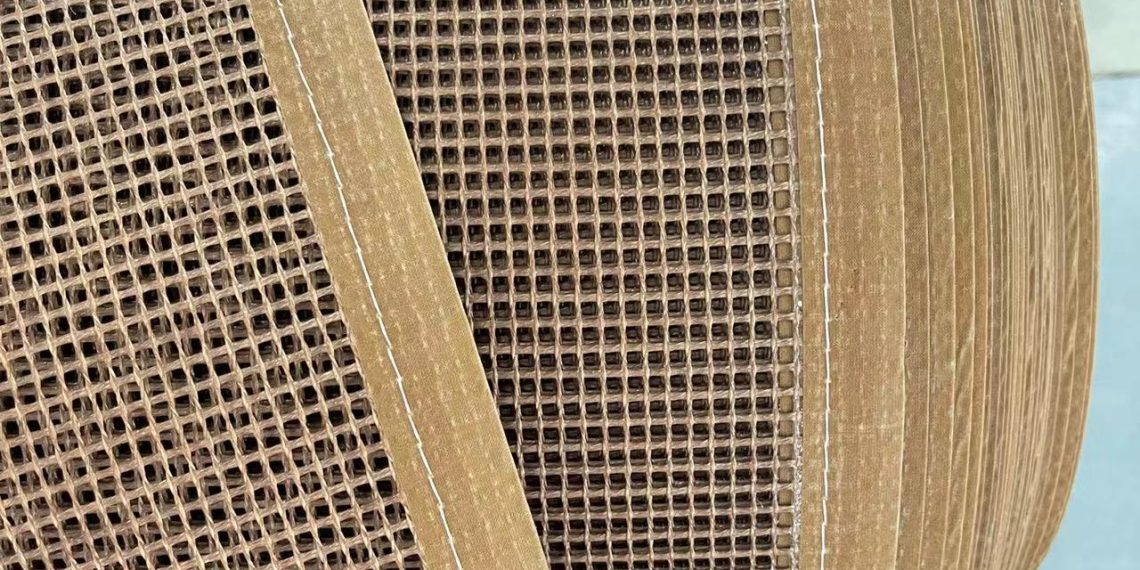 PTFE Mesh Belt