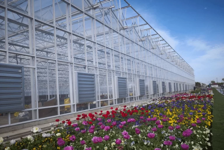 ETFE membrane structure