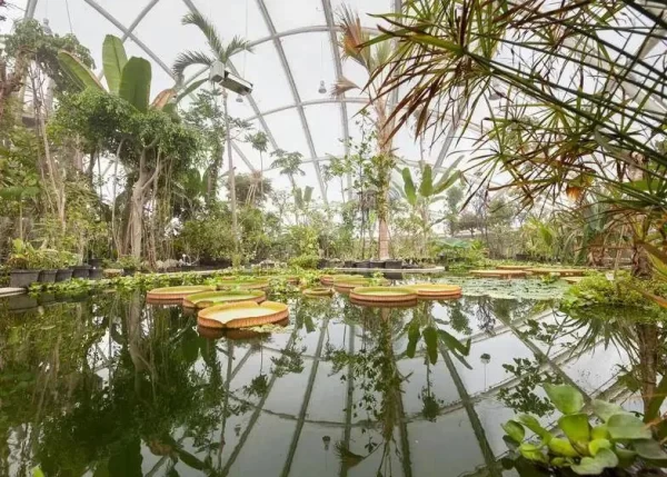 Why-is-ETFE-often-used-to-build-greenhouses