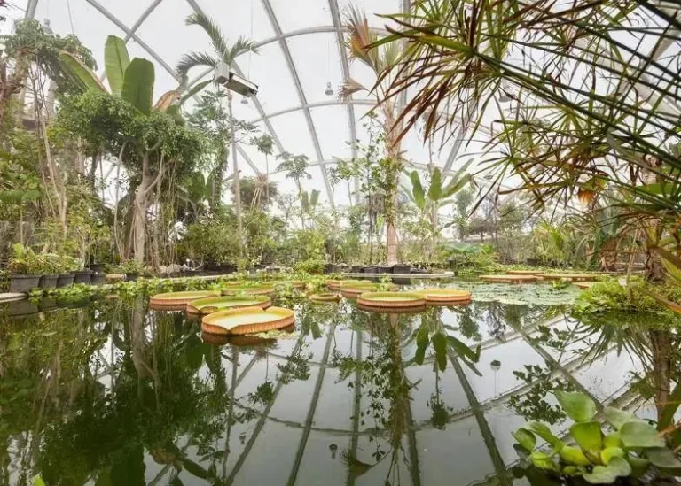 Why-is-ETFE-often-used-to-build-greenhouses