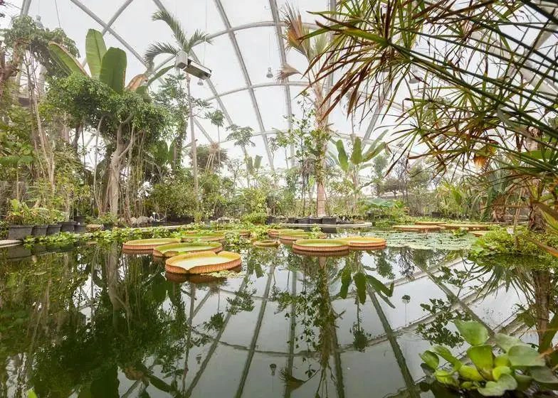 Why-is-ETFE-often-used-to-build-greenhouses
